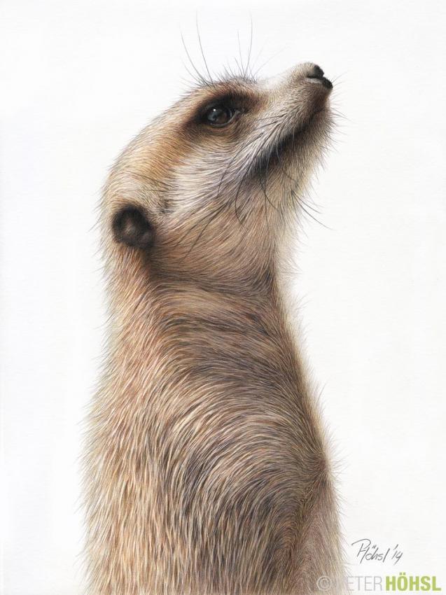 Lookout