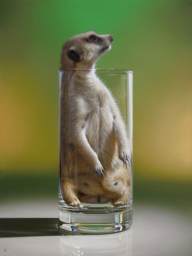 Meerglass